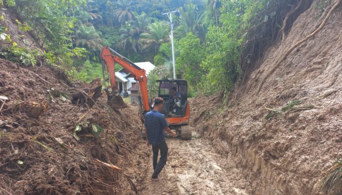 Longsor di Palembayan, Akses Sawah Laweh-Sikabau Tersekat