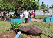 Khidmat Perayaan Idul Adha di Lapas Lubuk Basung, Qurban Satu ekor Sapi dan Kambing