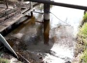 DPR RI Ungkap Sederet Pelanggaran Lingkungan PT Mutiara Agam