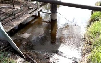 DPR RI Ungkap Sederet Pelanggaran Lingkungan PT Mutiara Agam 