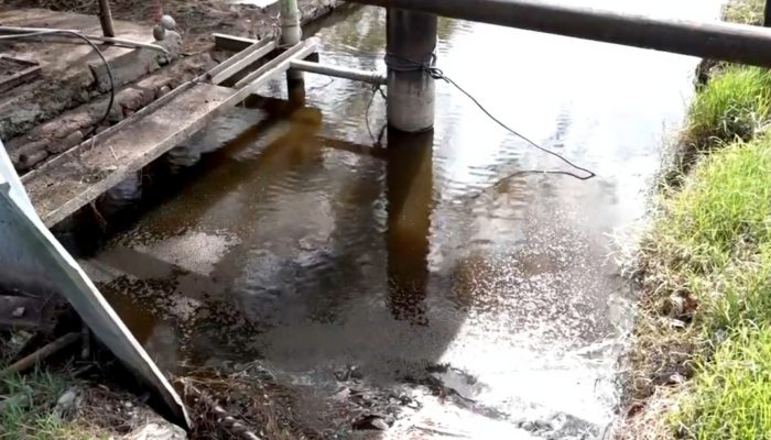 DPR RI Ungkap Sederet Pelanggaran Lingkungan PT Mutiara Agam 